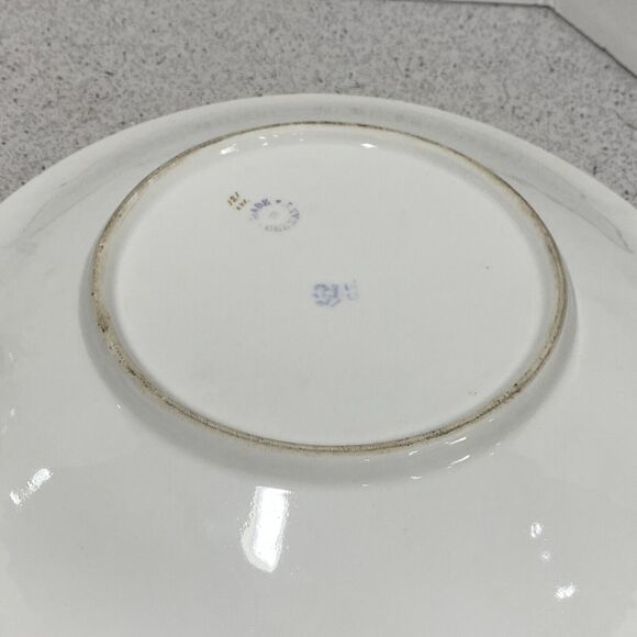 CT Germany Porcelain Plate Hand Painted Floral Pink Flowers Console Decorative - Picture 7 of 10